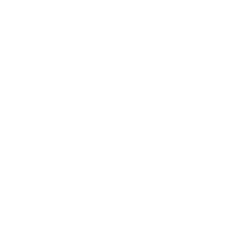 Perplexity
